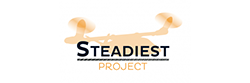 steadiest logo